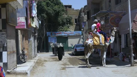 Riding A Camel On An Old Street In Cairo, Egypt Stock Footage 158194853