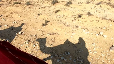 Riding a Camel with Shadow in Desert 스톡 동영상 143618127