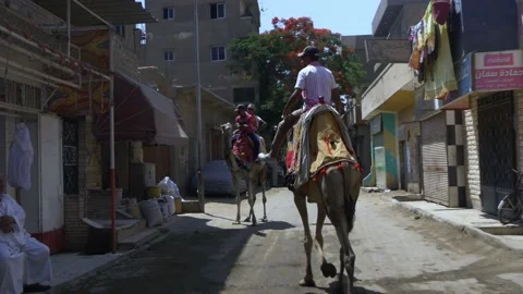 Riding Camels Down An Old Street In Cairo, Egypt Stock Footage 158194923