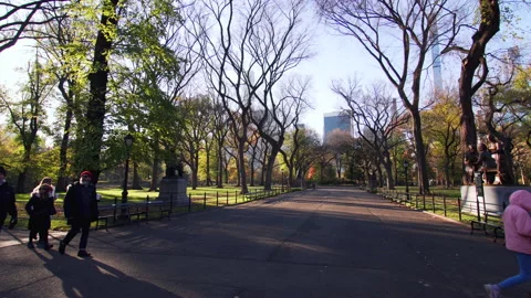 Riding Central Park in fall sunny day. Skyscrapers on the background. NYC Stock Footage 223392957