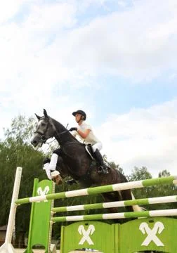 Riding competition Stock Photos