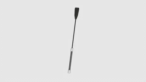 Riding Crop Rotating on a Transparent Background. Seamless Loop. 4K Stock Footage 312043917