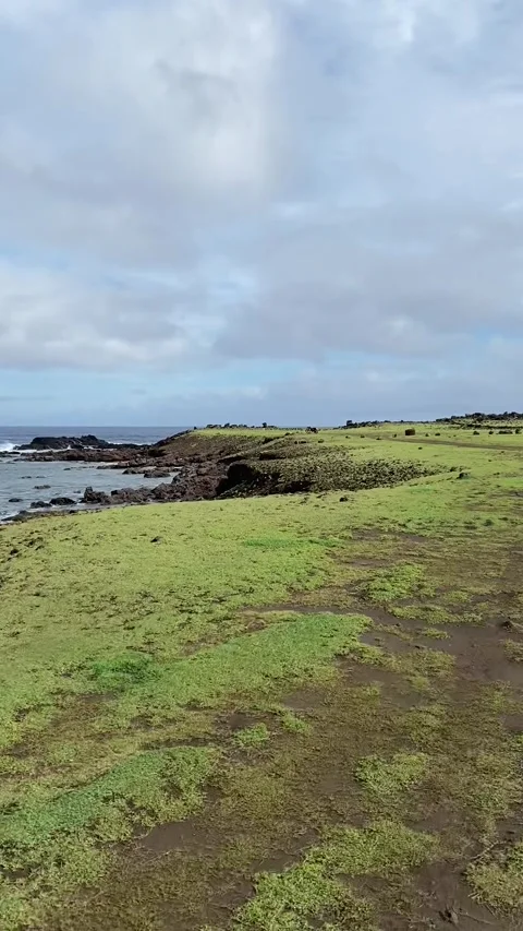 Riding on a dirt road in Easter Island 스톡 동영상 342837488
