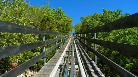 Riding on a Dragon Coaster Stock Footage 99117686
