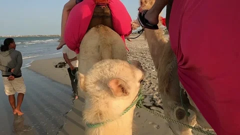 Riding dromedary camel on sandy beach for Tunisia vacation 库存影片 280881017