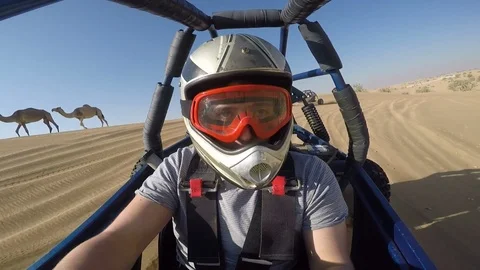 Riding a dune buggy through the desert past camels walking Stock Footage 114375494