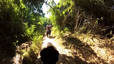 Riding on an elephant Stock Footage 42752095