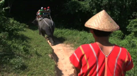 Riding on elephant with guide Stock Footage 295979