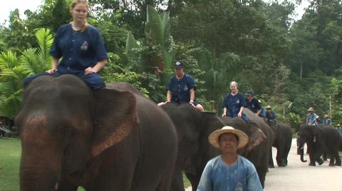 Riding elephants Stock-Footage 565250