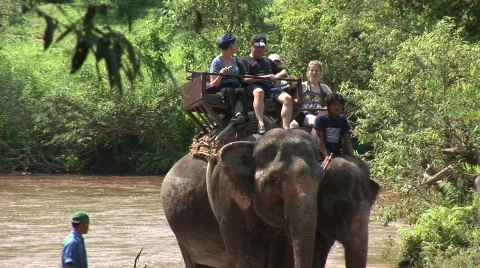 Riding elephants Stock Footage 568027