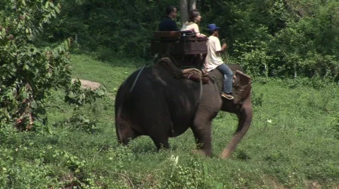 Riding elephants Stock Footage 568042