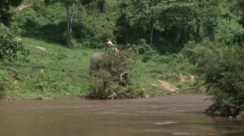 Riding elephants Stock-Footage 568054
