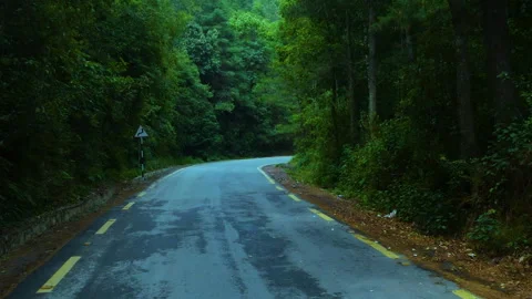 Riding on an empty road in the hills between green nature full of trees Stock Footage 247398868