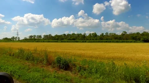 Riding on the field Stock Footage 66250306