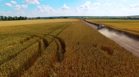 Riding on the field Stock Footage 66250319