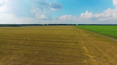 Riding on the field Stock Footage 66250337