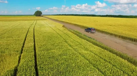 Riding on the field Stock Footage 66250382