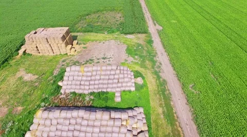 Riding on the field Stock Footage 66250394