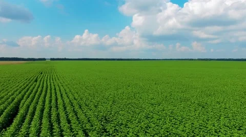 Riding on the field Stock Footage 66250454