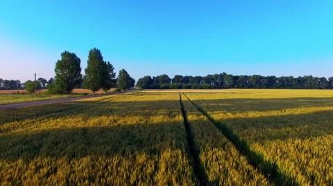 Riding on the field Stock-Footage 66250481