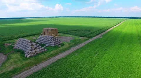 Riding on the field Stock-Footage 66250483