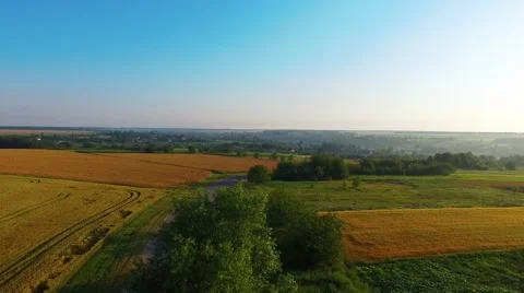 Riding on the field Stock-Footage 66250492