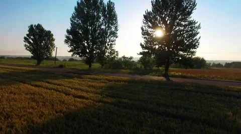 Riding on the field Stock-Footage 66299659