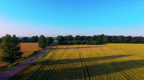 Riding on the field Stock-Footage 66299847