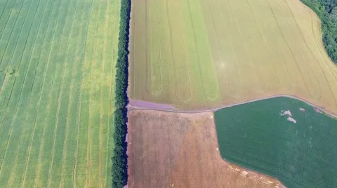 Riding on the field Stock-Footage 66300072