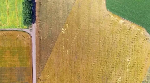 Riding on the field Stock-Footage 66300624