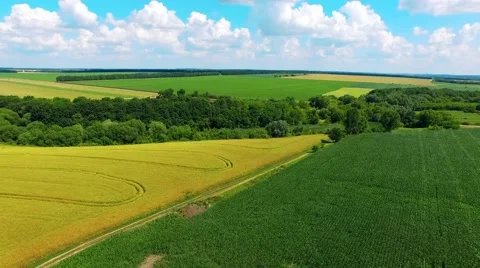 Riding on the field Stock-Footage 66300949