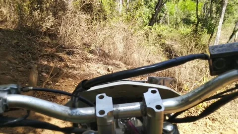 Riding in the forest adventure Video stock 169357385