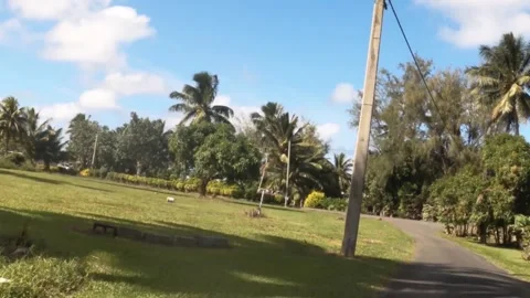 Riding forward view at a backroad in tropical Pacific Cook Islands with agricult Stock Footage 235307978