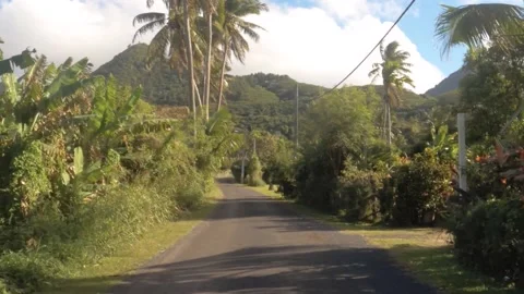 Riding forward view at a backroad in tropical Pacific Cook Islands with agricult Stock Footage 235308113