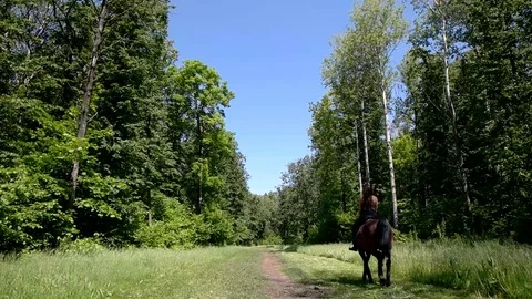 Riding galloping horse in the forest Stock Footage 78086848