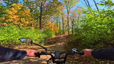 Riding generic e-bike in Fall, Autumn, on colorful forest path Stock Footage 295297961