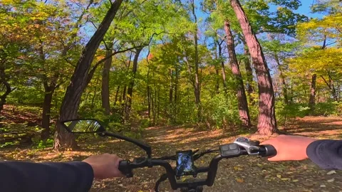 Riding generic e-bike in Fall, Autumn, on colorful forest path Stock Footage 295298984