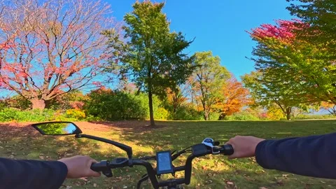 Riding generic e-bike in Fall, Autumn, on colorful forest path Stock Footage 295299674