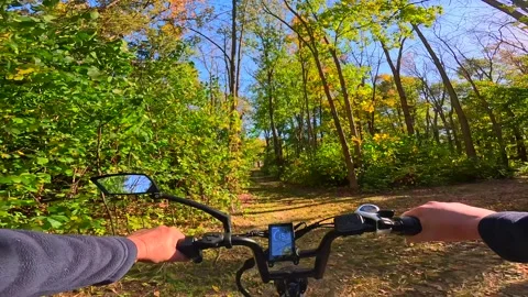 Riding generic e-bike in Fall, Autumn, on colorful forest path Stock Footage 295304388