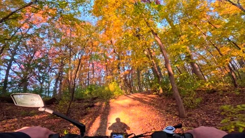 Riding generic e-bike in Fall, Autumn, in colorful wooded park Stock Footage 299342632