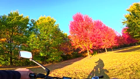 Riding generic e-bike in Fall, Autumn, in colorful wooded park Stock Footage 299343189