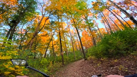 Riding generic e-bike in Fall, Autumn, on colorful forest path Stock Footage 299343629