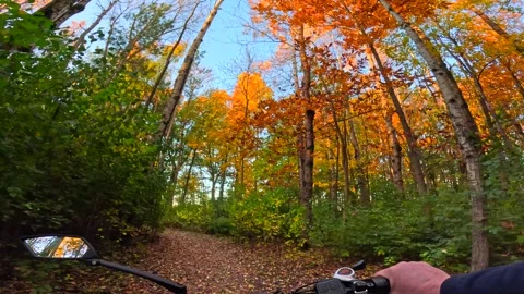 Riding generic e-bike in Fall, Autumn, on colorful forest path Stock Footage 299345882