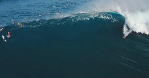 Riding giants Stock Footage 124356958