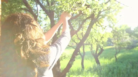 Riding Hood picking berries in the forest Stock Footage 93399196