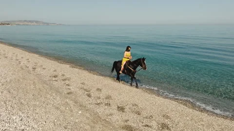 Riding a horse on the beach Stock Footage 278969815