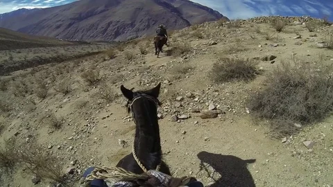 Riding horse Stock Footage 77047094