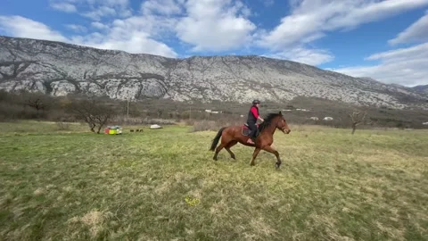 Riding a horse Video stock 151886960
