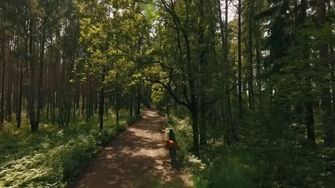 Riding a horse in forest Video stock 102508142