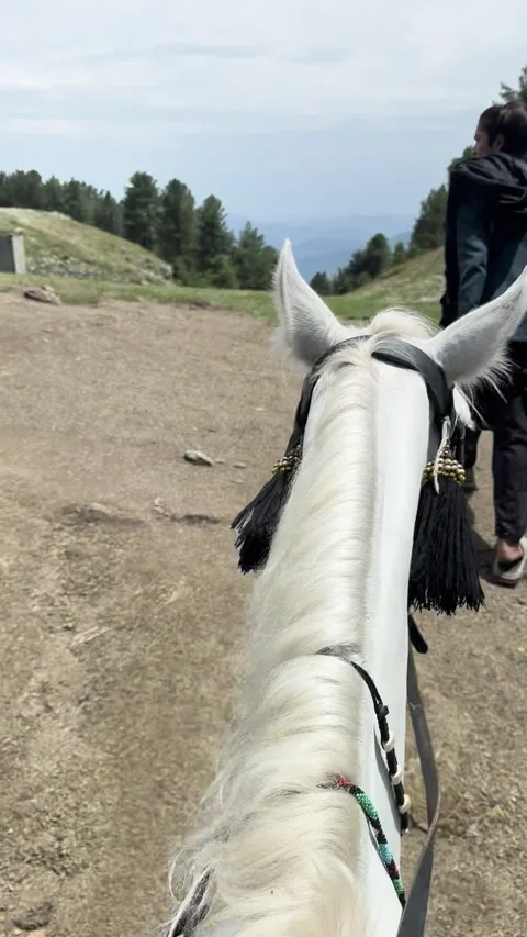 Riding Horse Through Mountain Landscape 스톡 동영상 337048459